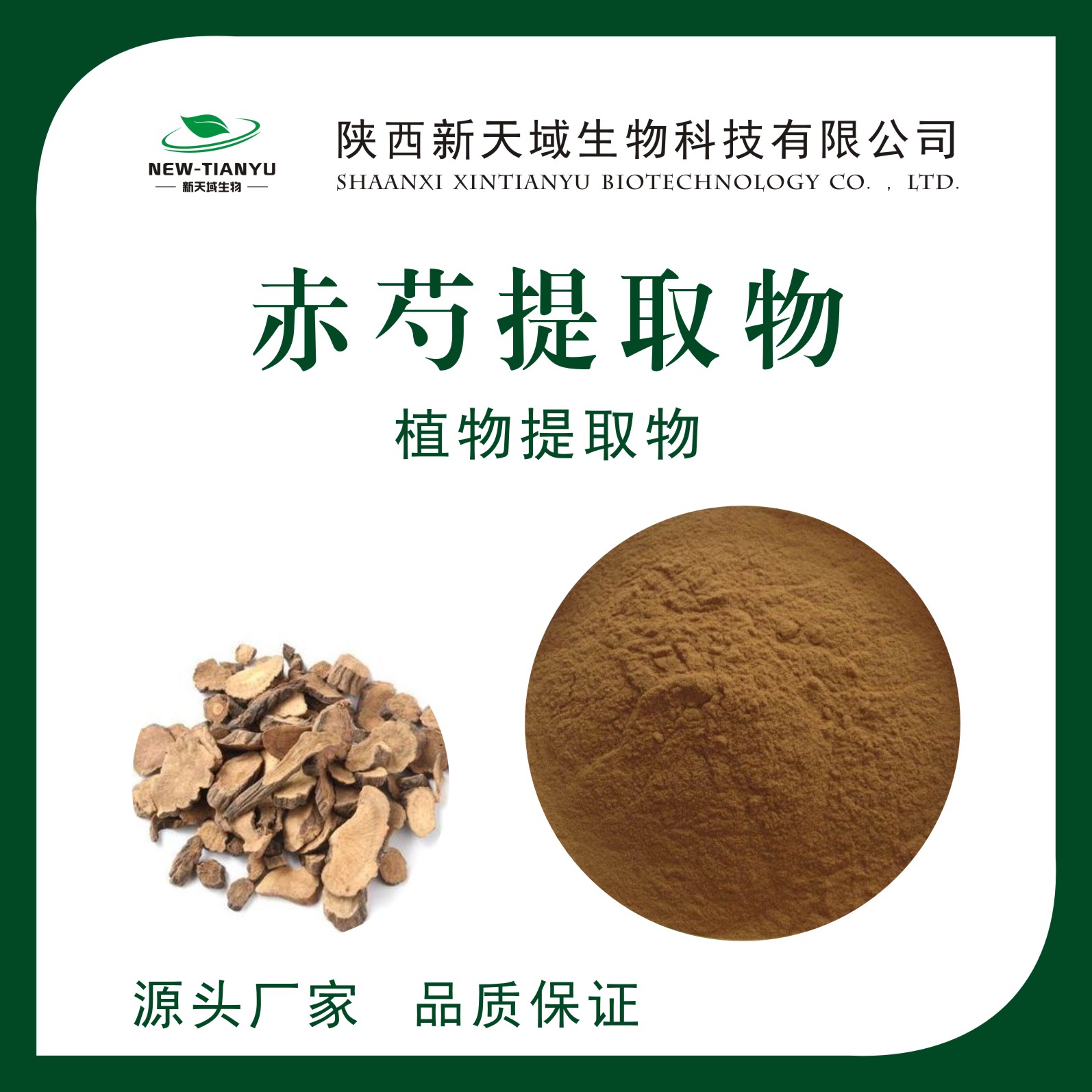 赤芍提取物