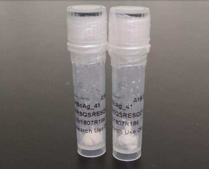 ALPHA-MSH|a-MSH,Free Acid