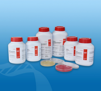 乳糖胆盐发酵培养基