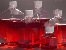 改良 CCDA 培养基基础添加剂