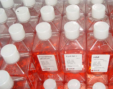 新生霉素检定培养基Ⅰ