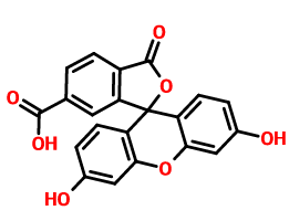 6-羧基荧光素