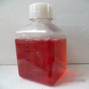 TTC-沙保罗培养基