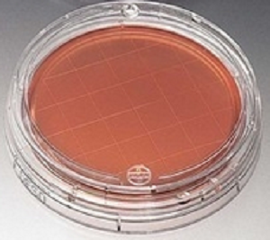 1%聚山梨醇酯80-玉米粉琼脂培养基