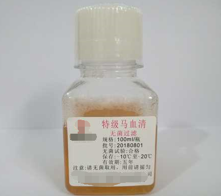 特级马血清