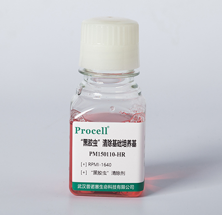“黑胶虫”清除基础培养基(RPMI-1640)