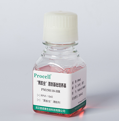 “黑胶虫”清除基础培养基(RPMI-1640)