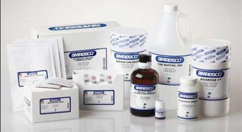 大豆蛋白胨,非动物源,非转基因