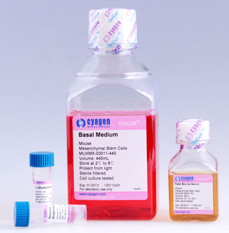 C57BL/6小鼠骨髓间充质干细胞完全培养基