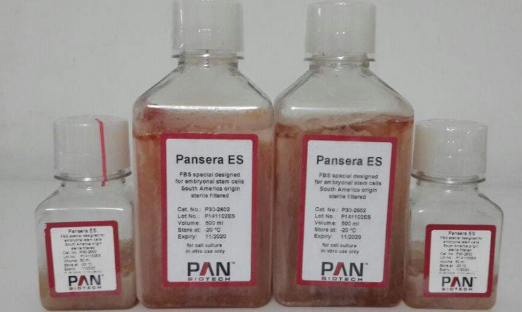 PAN胎牛血清ST30-3302