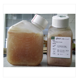 GIBCO胎牛血清(北美血源)