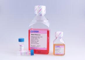 SD大鼠骨髓间充质干细胞完全培养基