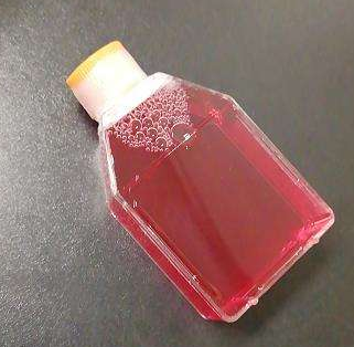 宋内氏2相诊断血清