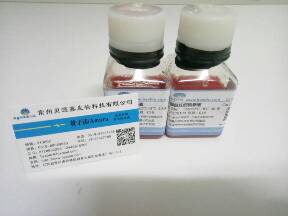 类标准胎牛血清