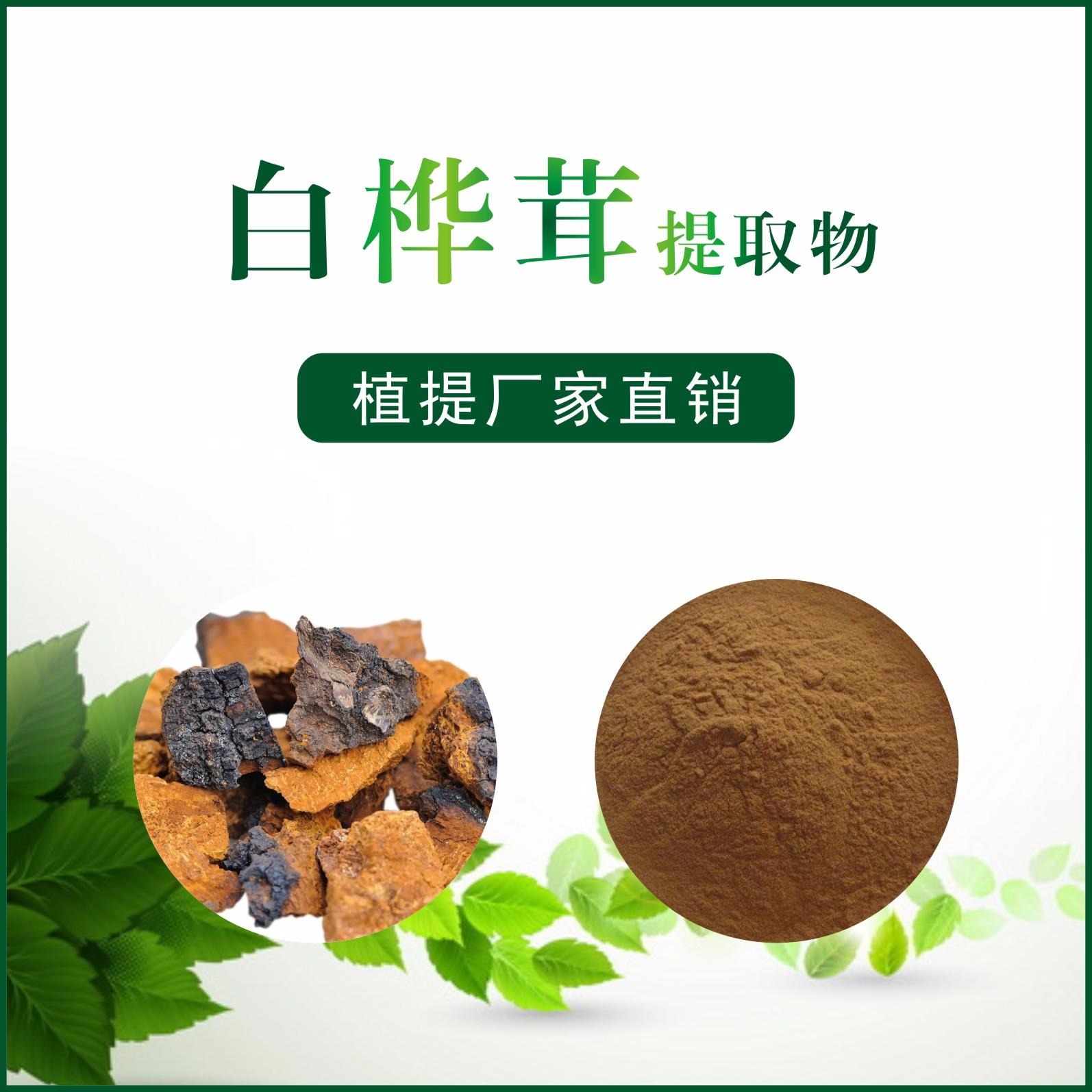 白桦茸提取物