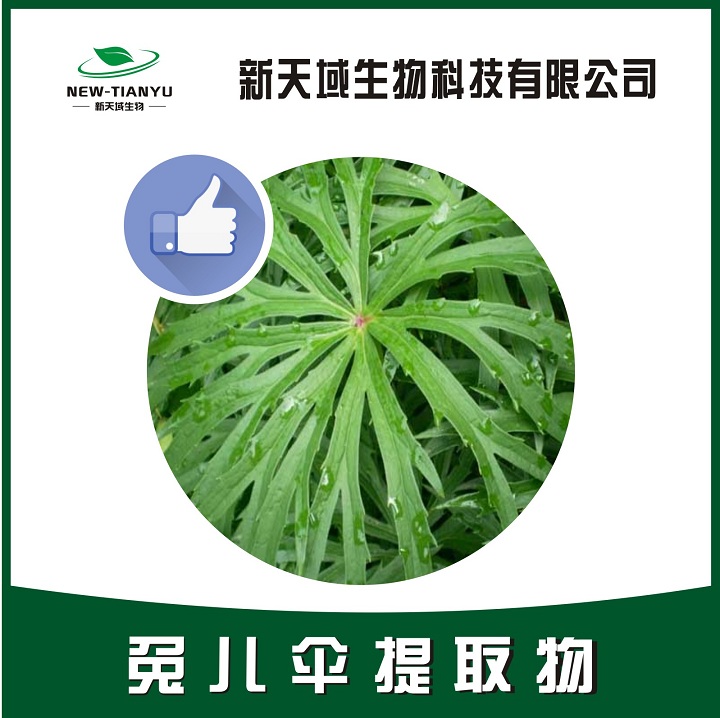 兔儿伞提取物