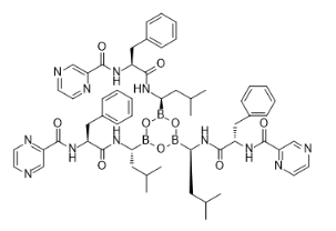 硼替佐米杂质ABCDEFGHJKL