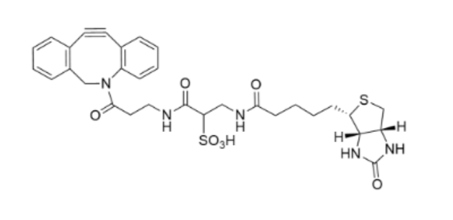 WS DBCO-Biotin,DBCO-Sulfo-link-biotin,磺基-二苯并环辛炔-生物素共轭物