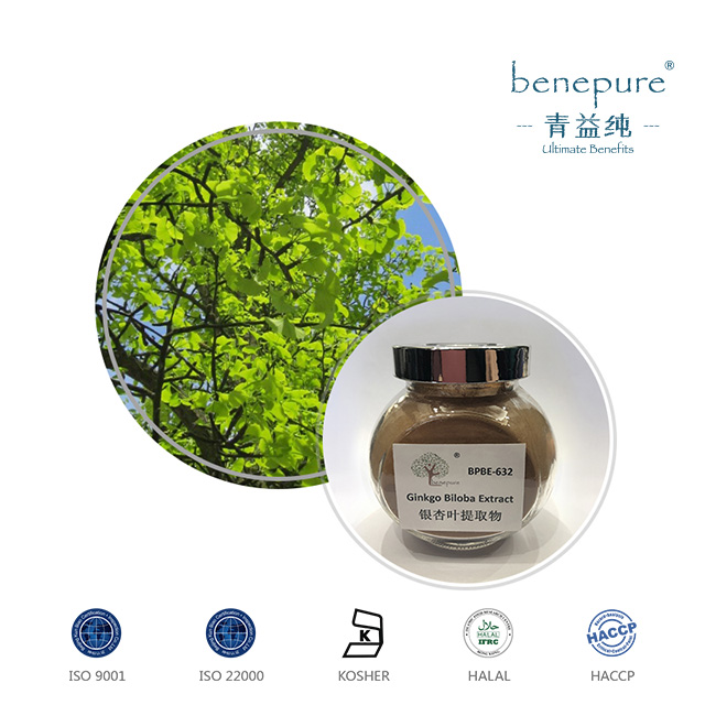银杏叶提取物