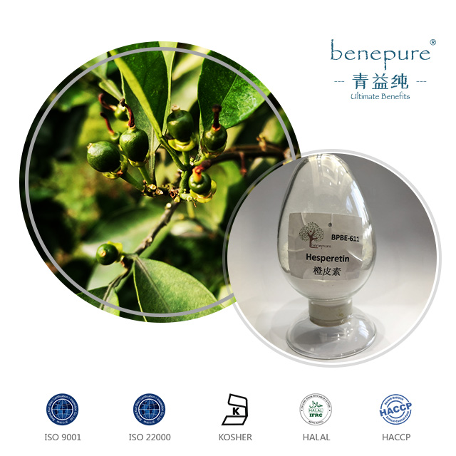橙皮素