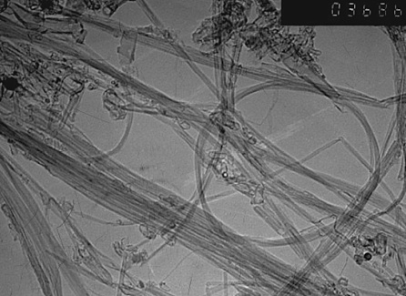 羧基化双壁碳纳米管