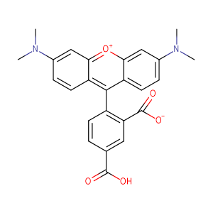 5-羧基四甲基罗丹明