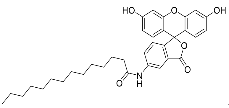 5-(十四酰氨基)荧光素