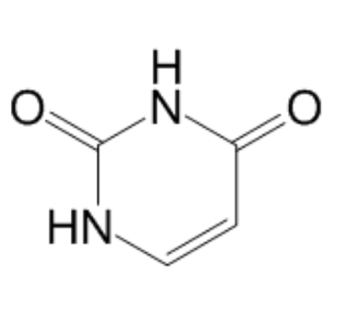 尿嘧啶
