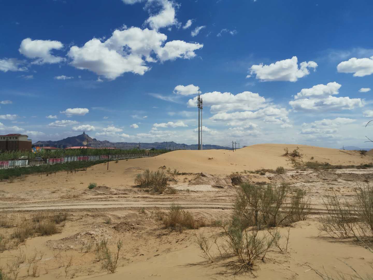 25-羟基维生素D3