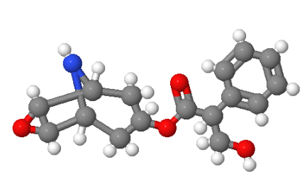 4684-28-0；去甲东莨菪碱
