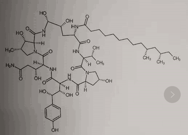 纽莫康定A0杂质