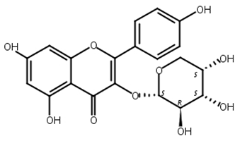 山柰酚-3-O-α-L-吡喃阿拉伯糖苷