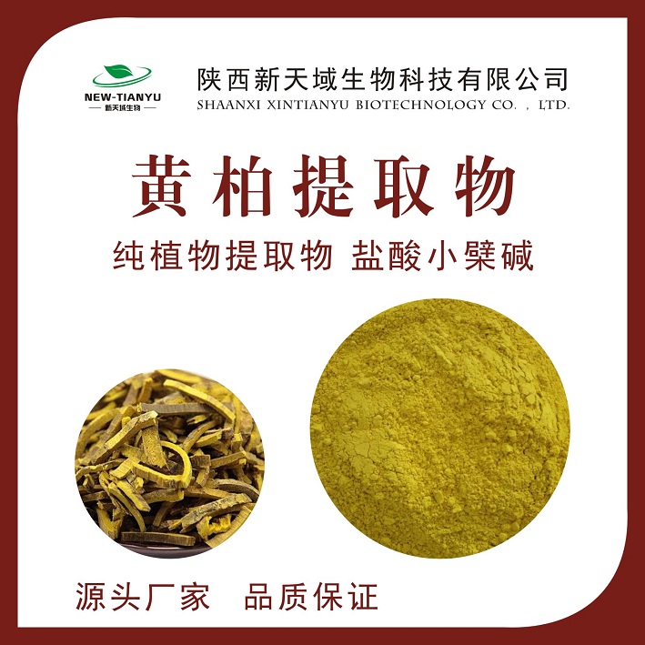 黄柏提取物