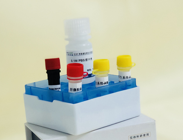 Ⅰ相代谢稳定性试剂盒