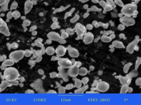 202008152142545775783.jpg 202008152142545775783.jpg