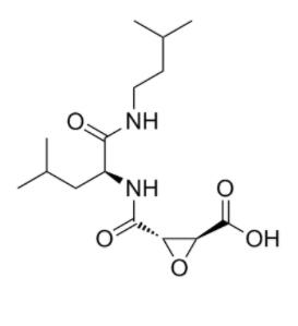 阿洛司他丁酸