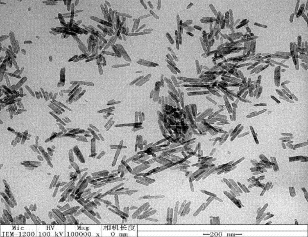 20nm活性氧化铝；伽马相三氧化二铝；γ-Al2O3