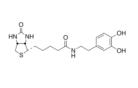 N-Biotinyl Dopamine