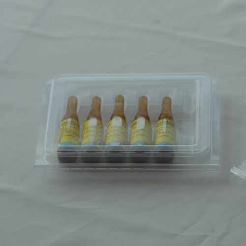 噻氯匹定（CYP2B6、CYP2C19）