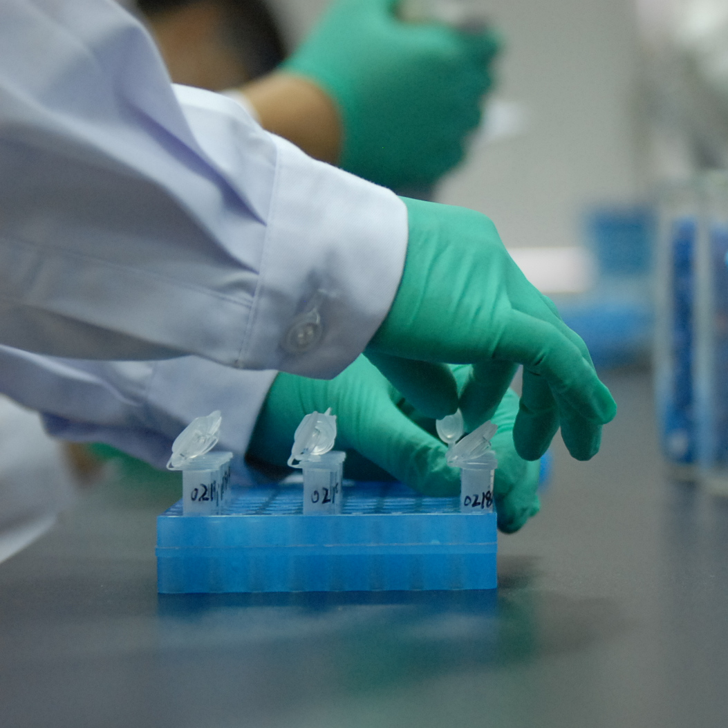 空白小鼠粪便匀浆液