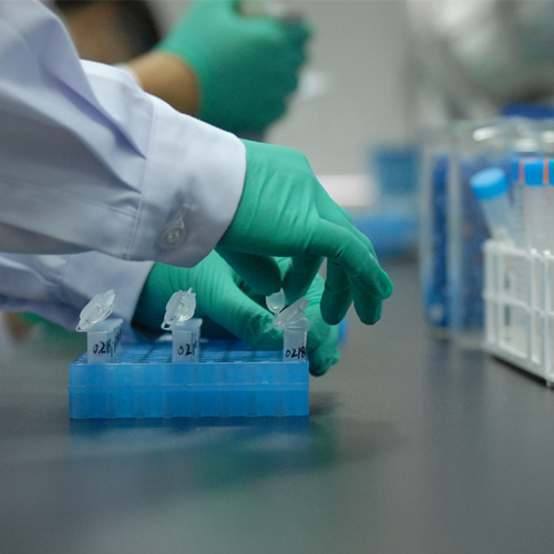 空白恒河猴肝匀浆液