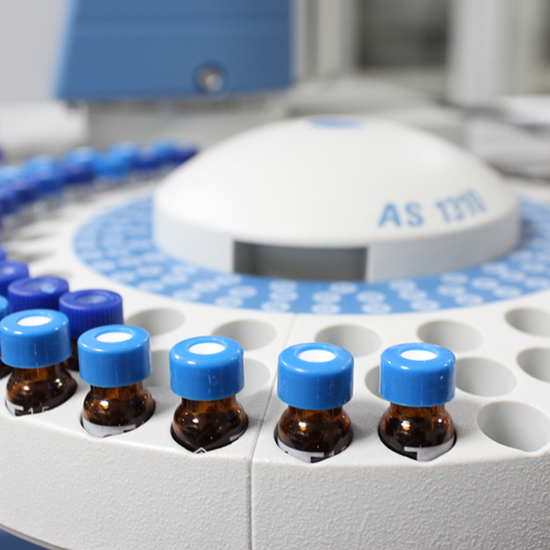 空白食蟹猴胆汁