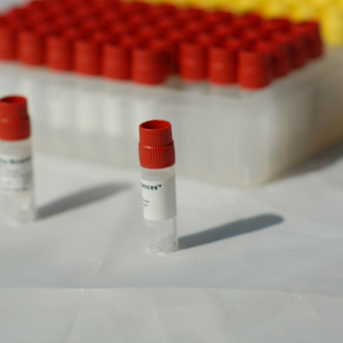 空白ICR（CD-1）小鼠血浆