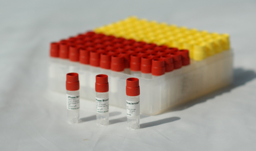 空白食蟹猴血清