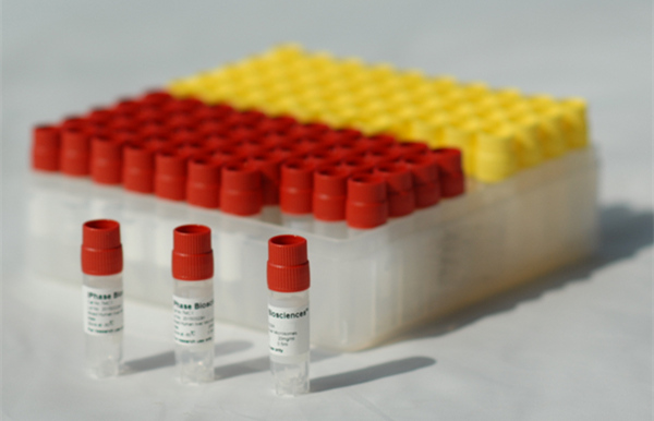 磷酸盐缓冲液（PBS缓冲液）