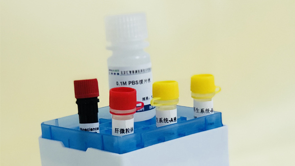 Ames菌株鉴定试剂盒