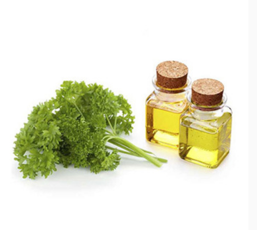 欧芹籽油