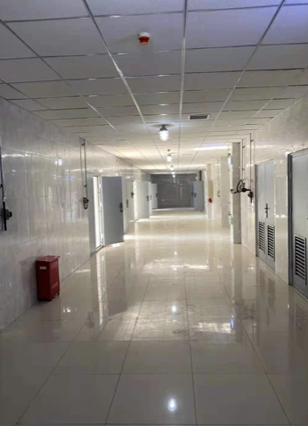 (R)-N-乙酰基-beta-萘基丙氨酸