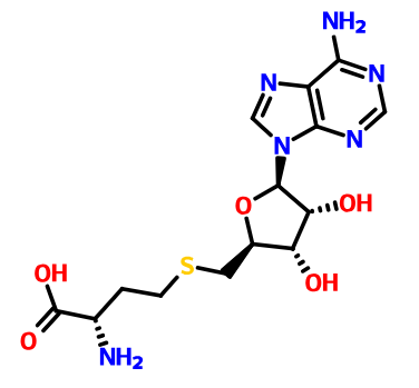 S-(5'-腺苷)-L-高半胱氨酸