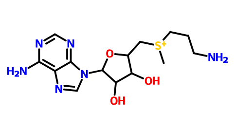 S-腺苷-3-甲硫基丙胺